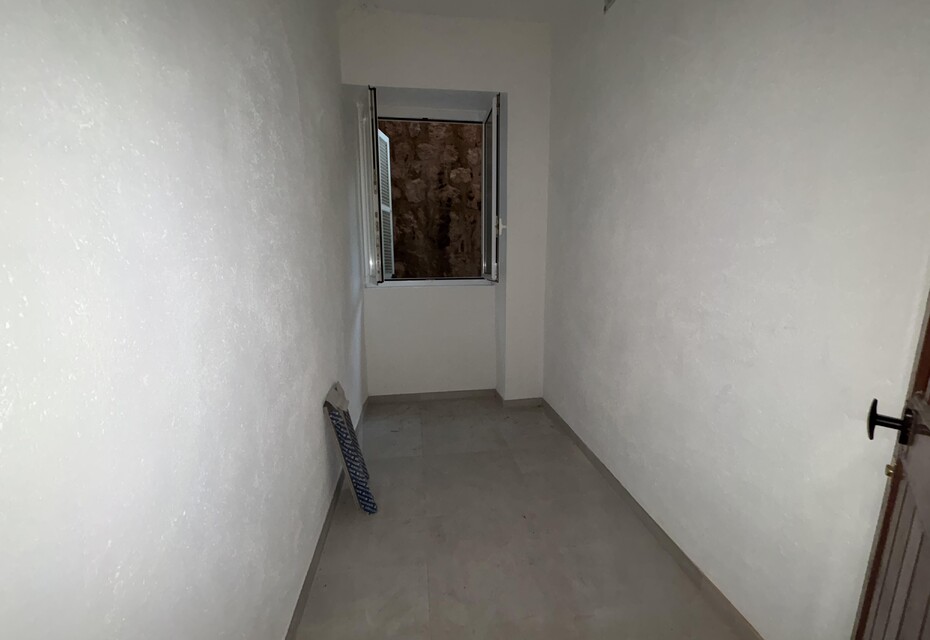 Cave à louer - Jardin Exotique